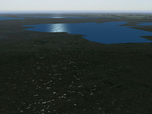 Procedural marshland from the distance