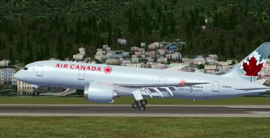 File:787 wing flex hard landing.gif