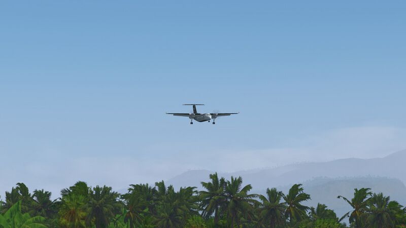 File:SOTM 2020-11 Final over Palm Trees by Oswald.jpg
