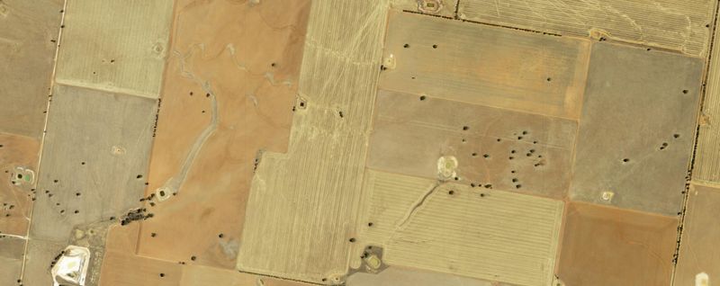 File:Wiki-dry-crop-start-2.jpg