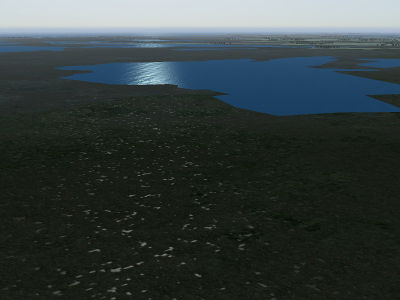 Procedural marshland from the distance