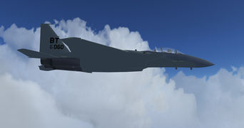 F 15D at cruise