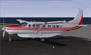 Cessna208CaravanOnRunway.jpg